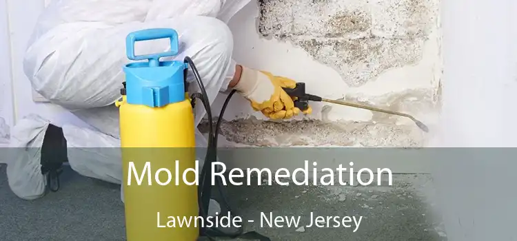 Mold Remediation Lawnside - New Jersey