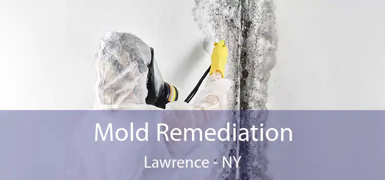 Mold Remediation Lawrence - NY