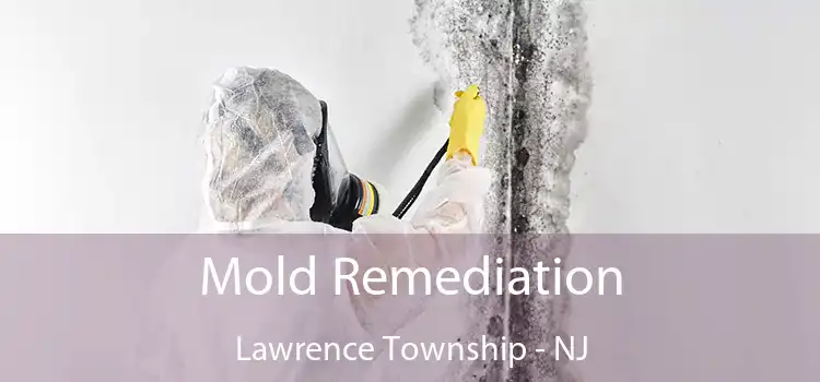 Mold Remediation Lawrence Township - NJ