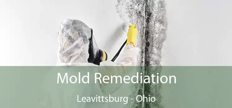 Mold Remediation Leavittsburg - Ohio