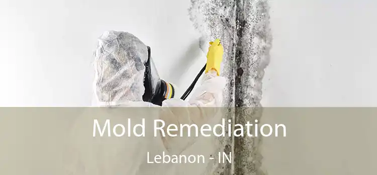 Mold Remediation Lebanon - IN