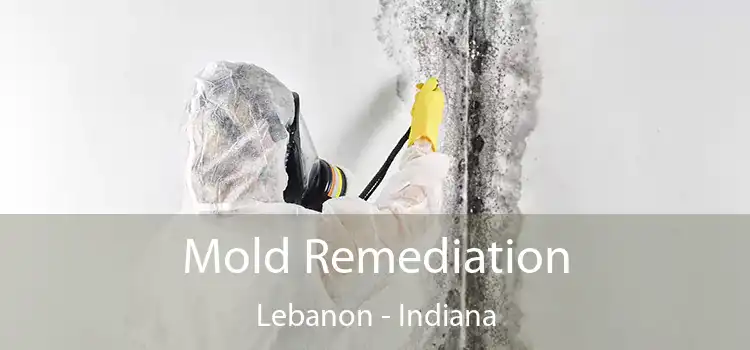 Mold Remediation Lebanon - Indiana