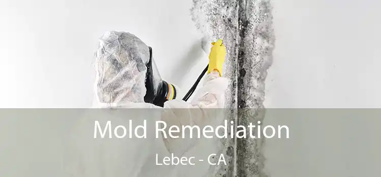 Mold Remediation Lebec - CA