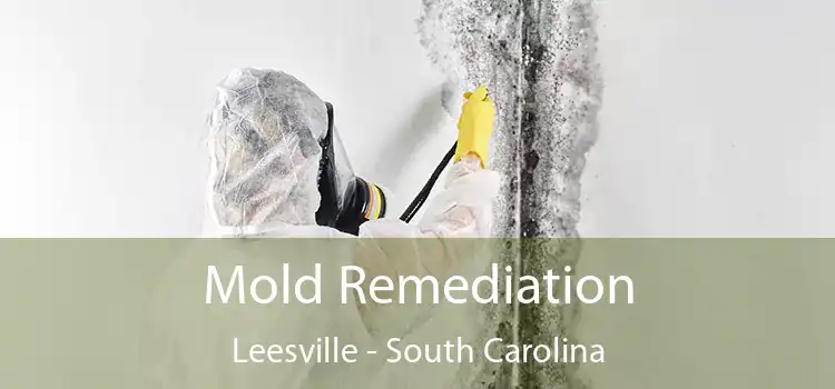 Mold Remediation Leesville - South Carolina