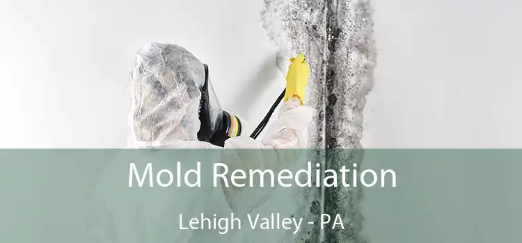 Mold Remediation Lehigh Valley - PA