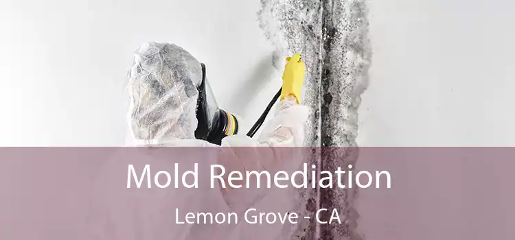 Mold Remediation Lemon Grove - CA