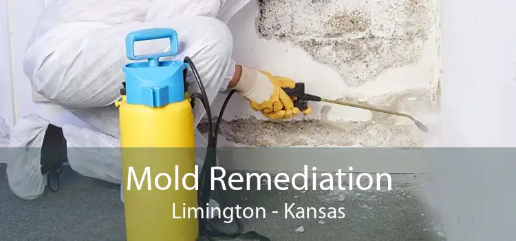 Mold Remediation Limington - Kansas