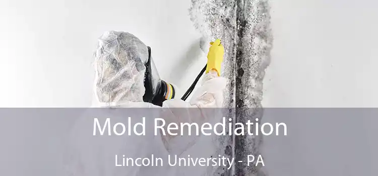 Mold Remediation Lincoln University - PA