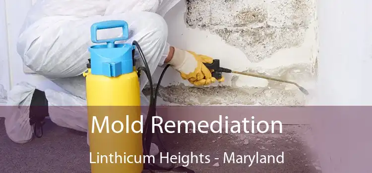 Mold Remediation Linthicum Heights - Maryland