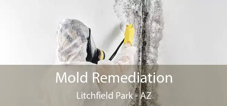 Mold Remediation Litchfield Park - AZ