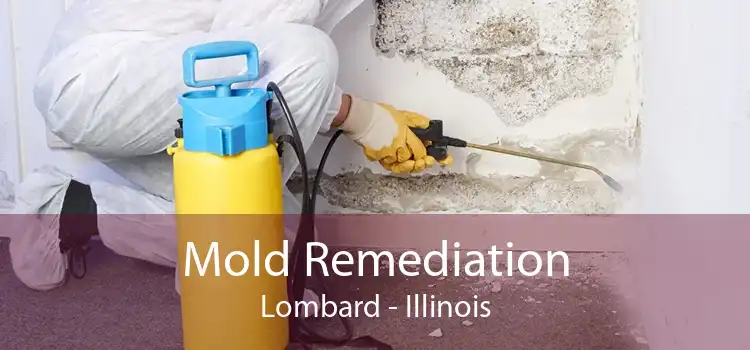 Mold Remediation Lombard - Illinois
