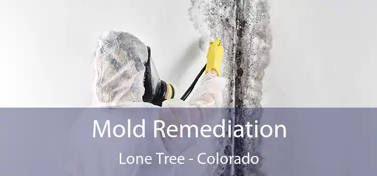 Mold Remediation Lone Tree - Colorado