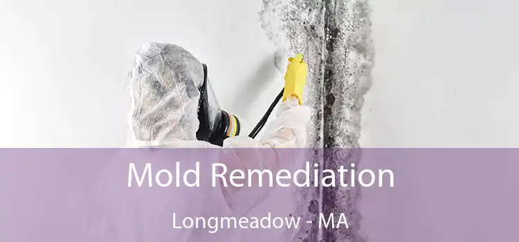 Mold Remediation Longmeadow - MA