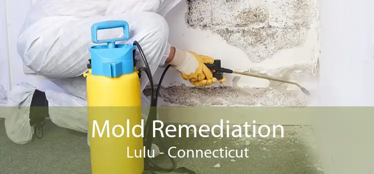 Mold Remediation Lulu - Connecticut