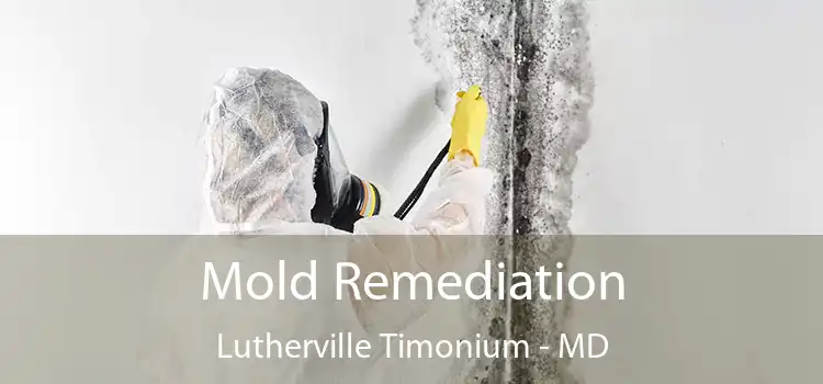 Mold Remediation Lutherville Timonium - MD