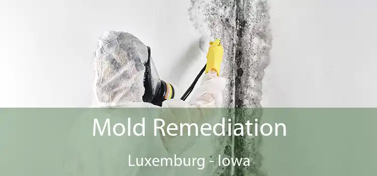 Mold Remediation Luxemburg - Iowa