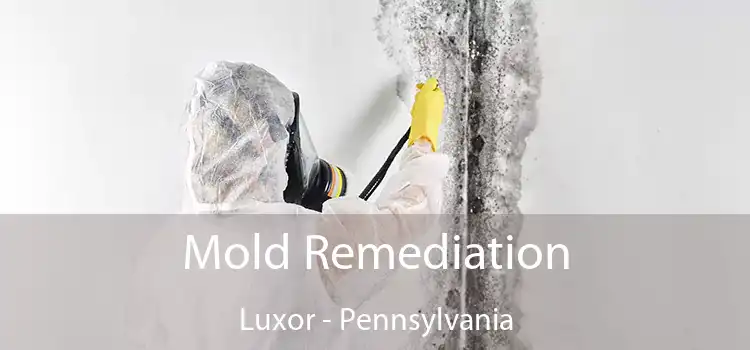 Mold Remediation Luxor - Pennsylvania