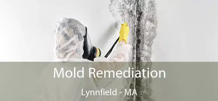 Mold Remediation Lynnfield - MA