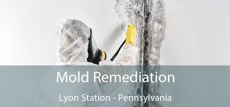 Mold Remediation Lyon Station - Pennsylvania