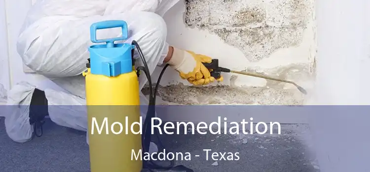 Mold Remediation Macdona - Texas