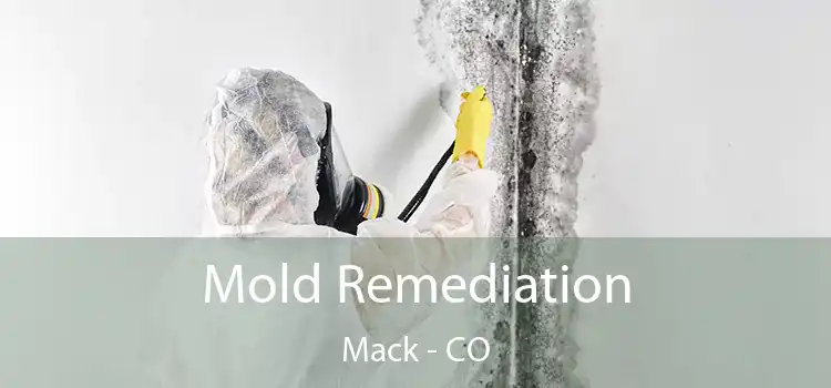 Mold Remediation Mack - CO