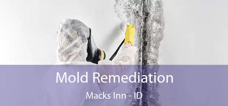 Mold Remediation Macks Inn - ID