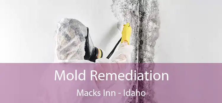 Mold Remediation Macks Inn - Idaho