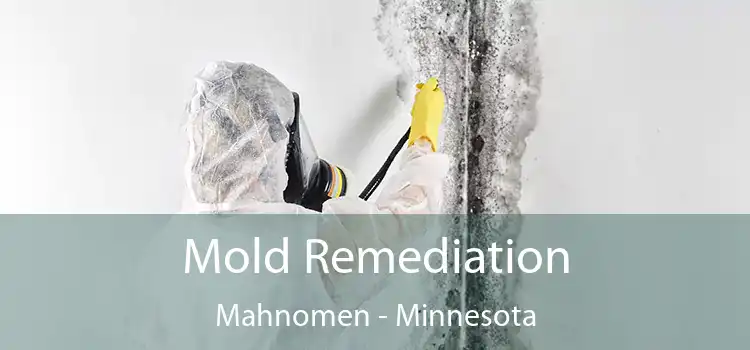 Mold Remediation Mahnomen - Minnesota