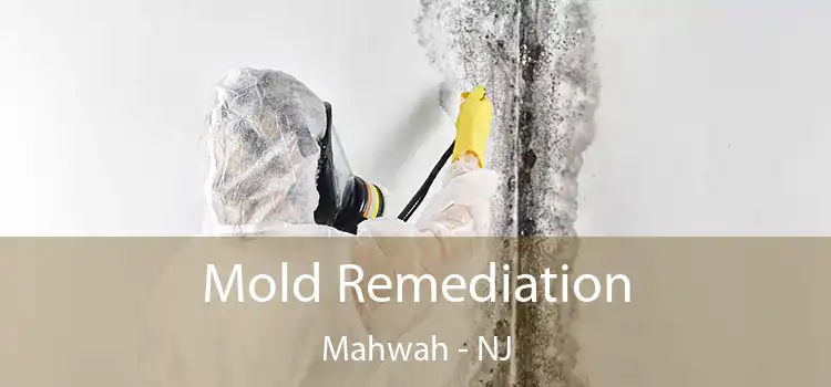 Mold Remediation Mahwah - NJ