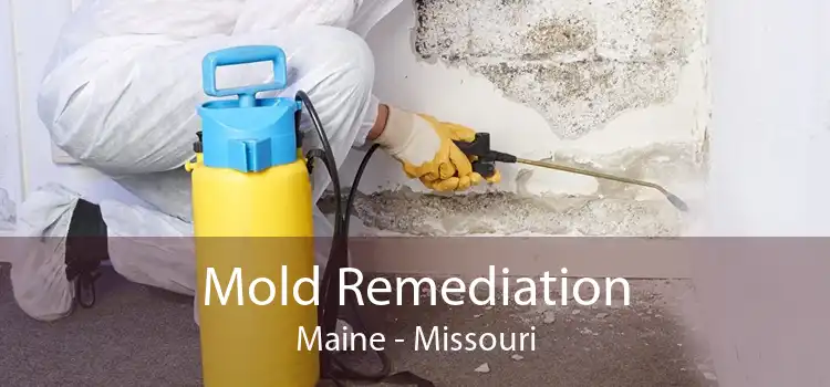Mold Remediation Maine - Missouri