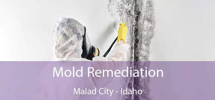 Mold Remediation Malad City - Idaho