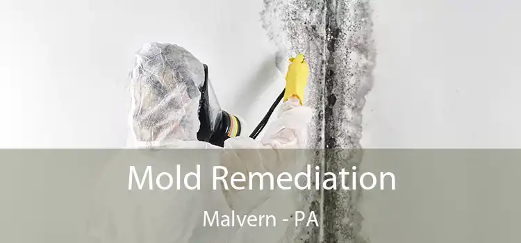 Mold Remediation Malvern - PA