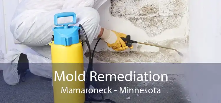 Mold Remediation Mamaroneck - Minnesota