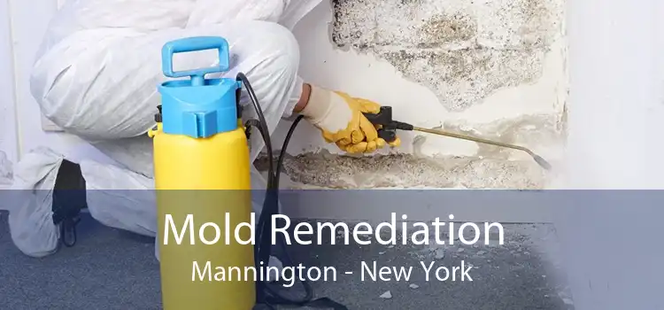 Mold Remediation Mannington - New York