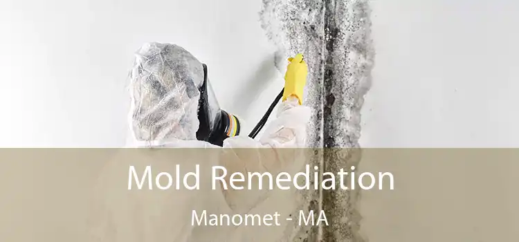 Mold Remediation Manomet - MA