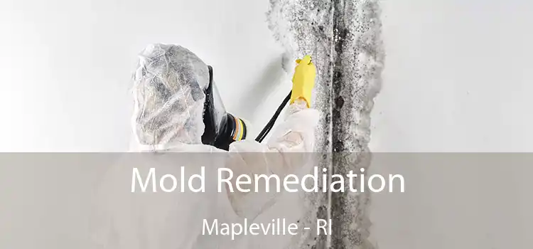 Mold Remediation Mapleville - RI