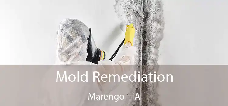 Mold Remediation Marengo - IA