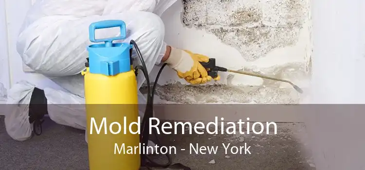 Mold Remediation Marlinton - New York