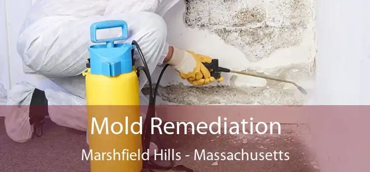 Mold Remediation Marshfield Hills - Massachusetts