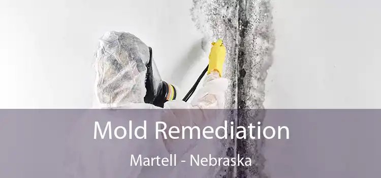 Mold Remediation Martell - Nebraska