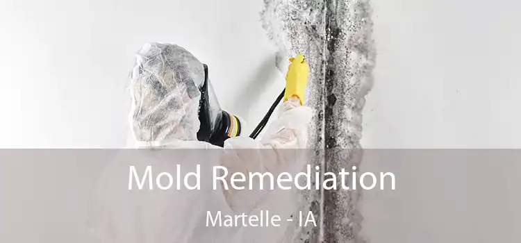 Mold Remediation Martelle - IA