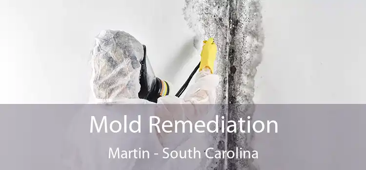 Mold Remediation Martin - South Carolina