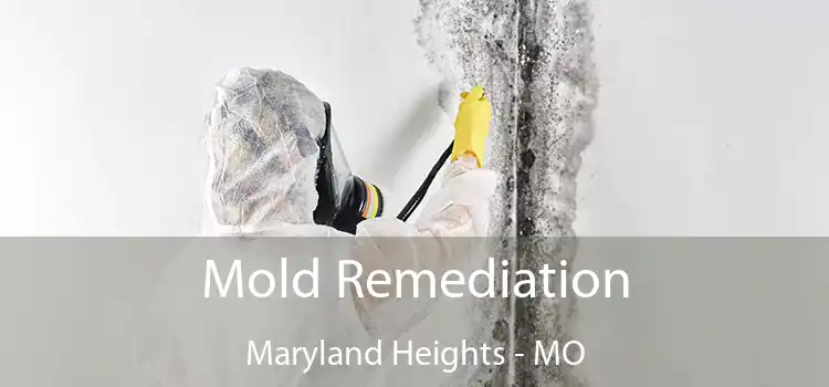 Mold Remediation Maryland Heights - MO