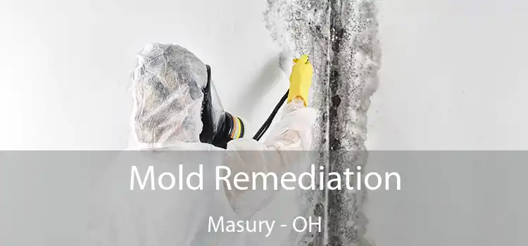 Mold Remediation Masury - OH