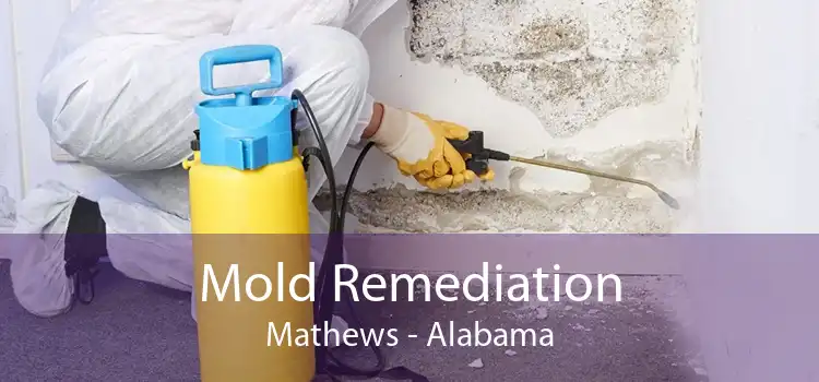 Mold Remediation Mathews - Alabama