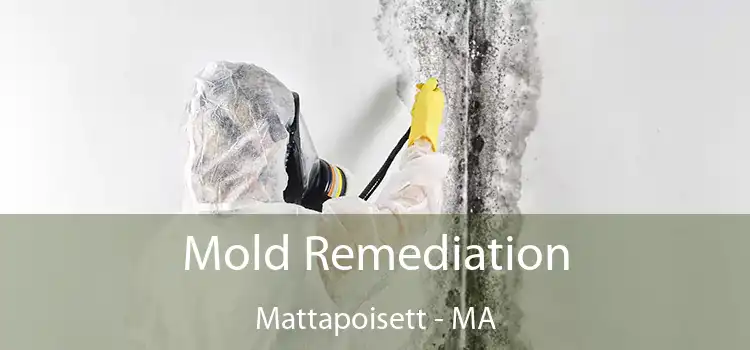 Mold Remediation Mattapoisett - MA