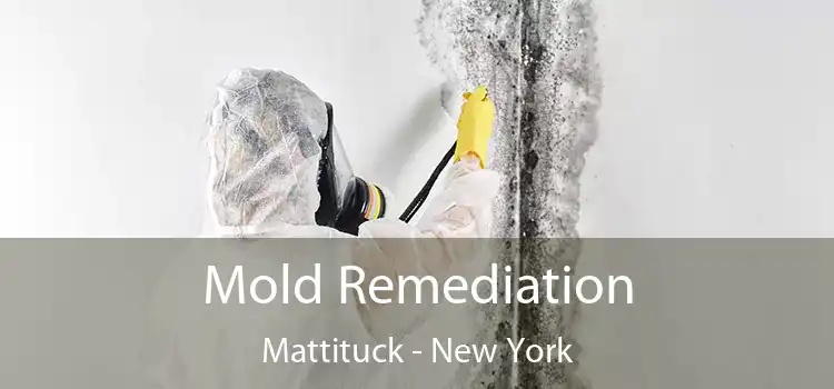 Mold Remediation Mattituck - New York