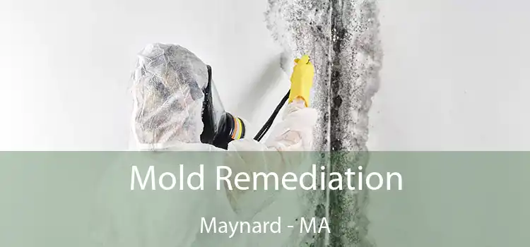 Mold Remediation Maynard - MA