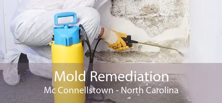 Mold Remediation Mc Connellstown - North Carolina
