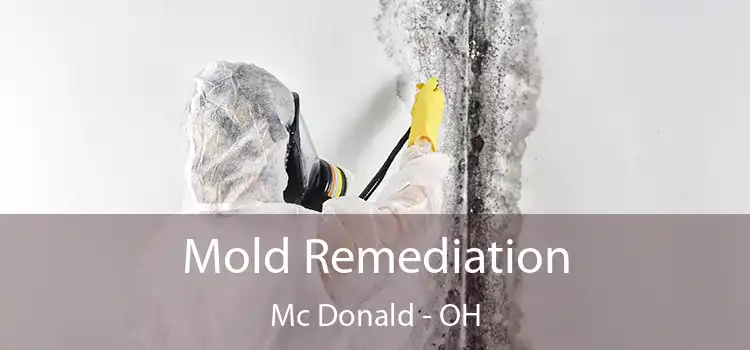 Mold Remediation Mc Donald - OH